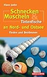 Schnecken, Muscheln & Tintenfische an Nord- und Ostsee: Finden und Bestimmen