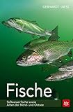 Fische: Süßwasserfische sowie Arten der Nord- und Ostsee