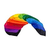 Wolkenstürmer® Paraflex Basic 2-Leiner Lenkmatte 2.1 Rainbow - Kite Drachen mit...
