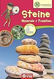 Steine, Minerale & Fossilien (Naturdetektive / Wissen und Beschäftigung für kleine...