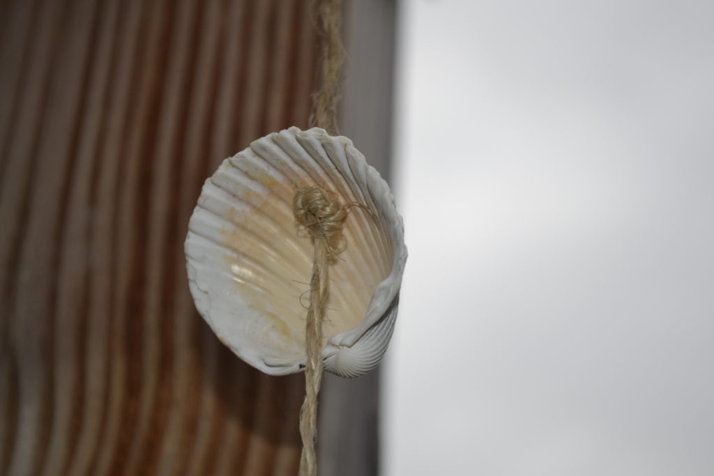 Die Muscheln werden mit einem Knoten auf der Schnur befestigt.