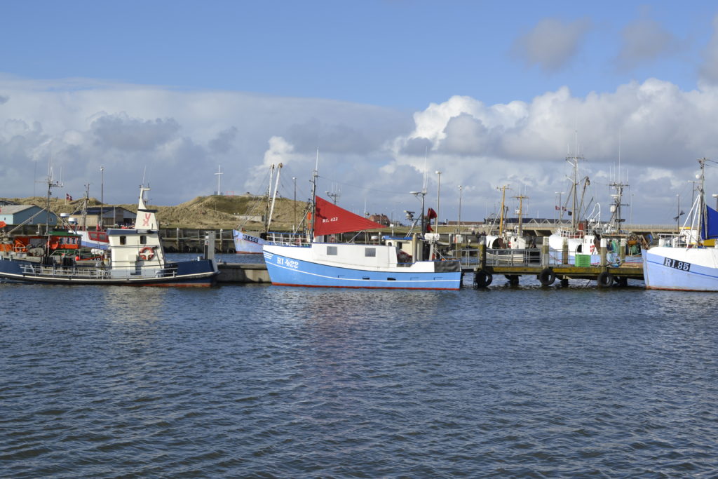 Fischereihafen Hvide Sande: Spannend für Groß und Klein