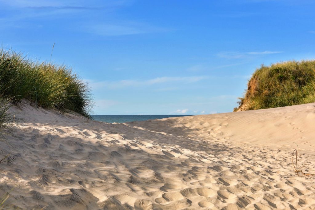 Immer eine gute Idee: Ein Strandtag in Dänemark